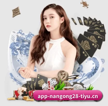 南宫28 APP
